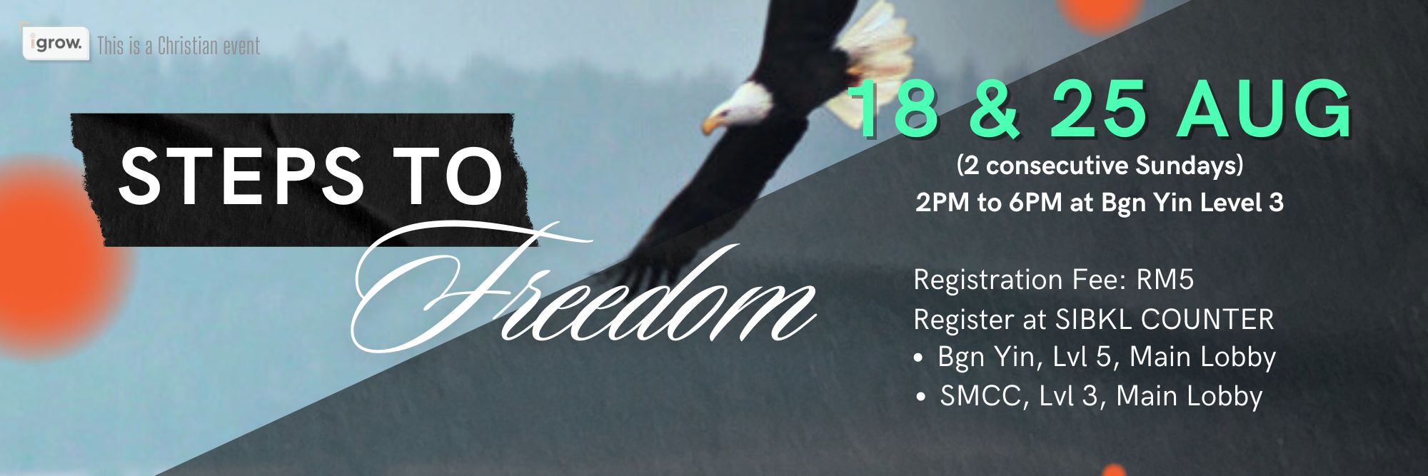 Steps to Freedom Poster (1920 x 1080 px) (2000 x 667 px)